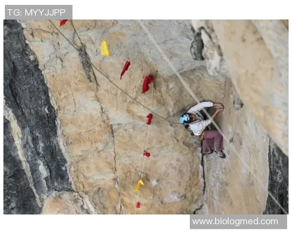 广州攀岩队荣登全国攀岩技术排行榜第四名引发热议