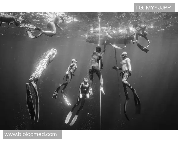 极限运动盛宴：深入成都极限运动队的速度与激情之旅