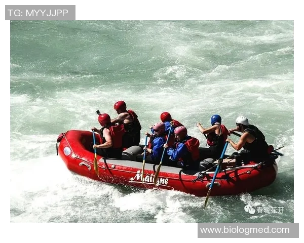 杭州排球队团队协作的成功之道与发展策略探讨